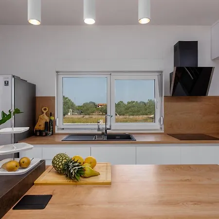 Dora Zadarvillas Vila *